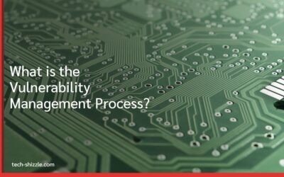 What is the Vulnerability Management Process?